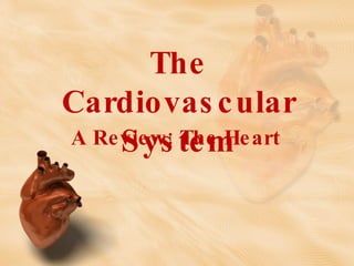 The Cardiovascular System A Review: The Heart  