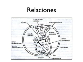 Relaciones
 