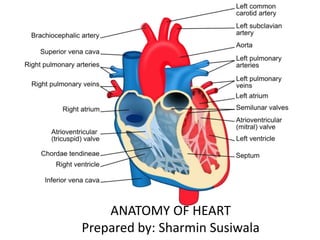 ANATOMY OF HEART 
Prepared by: Sharmin Susiwala 
 
