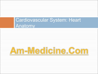Cardiovascular System: Heart
Anatomy
 
