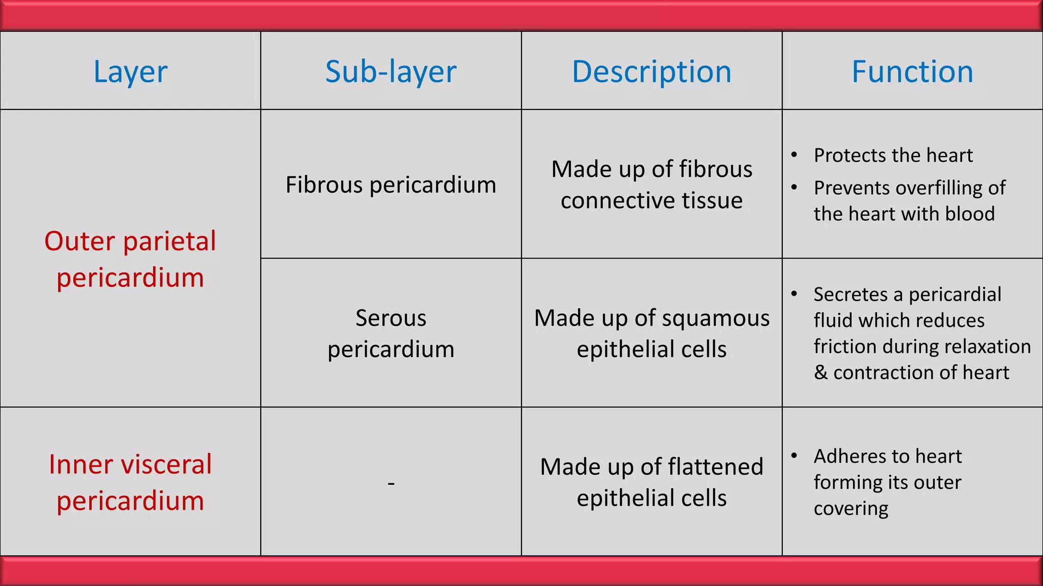 Heart Anatomy | PPTX
