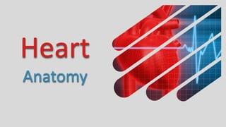 Heart
Anatomy
 