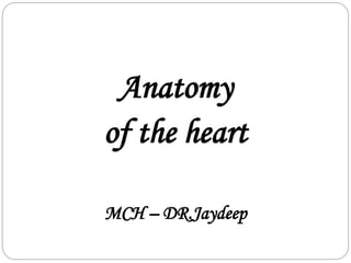 Anatomy
of the heart
MCH – DR.Jaydeep
 