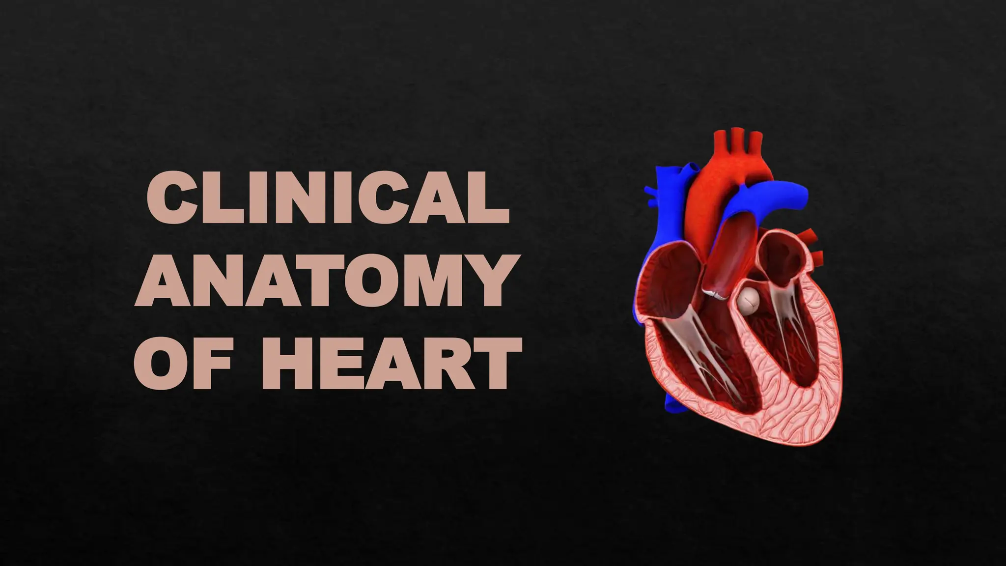 CLINICAL
ANATOMY
OF HEART