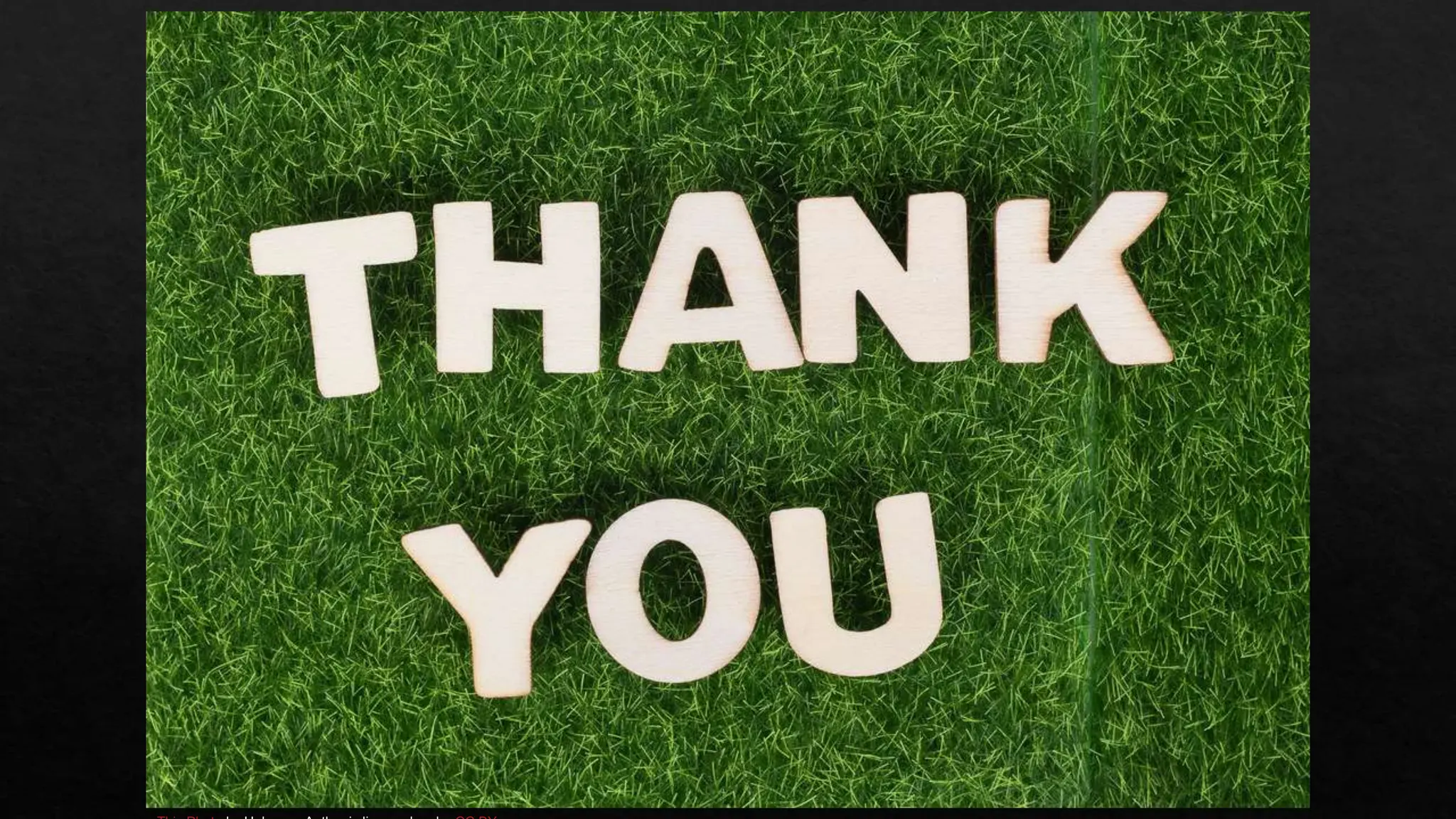 anatomy of the heart/ chambers of heart/heart and its blood supply/ understanding the human heart