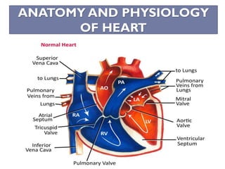 ANATOMY AND
PHYSIOLOGY OF HEART
ANATOMY AND PHYSIOLOGY
OF HEART
 