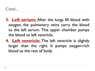 Cont..
3. Left atrium: After the lungs fill blood with
oxygen, the pulmonary veins carry the blood
to the left atrium. This upper chamber pumps
the blood to left ventricle.
4. Left ventricle: The left ventricle is slightly
larger than the right. It pumps oxygen-rich
blood to the rest of body.
 