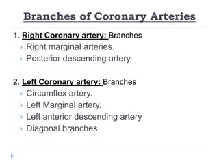 Branches of Coronary Arteries
1. Right Coronary artery: Branches
 Right marginal arteries.
 Posterior descending artery
2. Left Coronary artery: Branches
 Circumflex artery.
 Left Marginal artery.
 Left anterior descending artery
 Diagonal branches
 