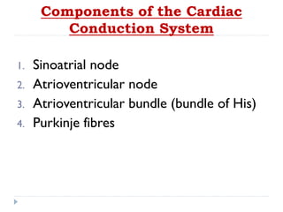 Components of the Cardiac
Conduction System
1. Sinoatrial node
2. Atrioventricular node
3. Atrioventricular bundle (bundle of His)
4. Purkinje fibres
 