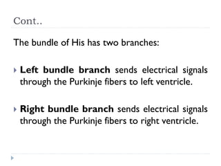 Cont..
The bundle of His has two branches:
 Left bundle branch sends electrical signals
through the Purkinje fibers to left ventricle.
 Right bundle branch sends electrical signals
through the Purkinje fibers to right ventricle.
 