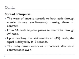 Cont..
Spread of impulse:
 The wave of impulse spreads to both atria through
muscle tissues simultaneously causing them to
contract.
 From SA node impulse passes to ventricles through
AV node.
 Upon reaching the atrioventricular (AV) node, the
signal is delayed by 0.13 seconds.
 This delay causes ventricles to contract after atrial
contraction is over.
 