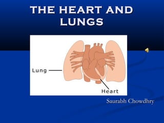 THE HEART AND
    LUNGS




         Saurabh Chowdhry
 