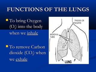 Heart Lung O2 Heart and Lungs | PPT
