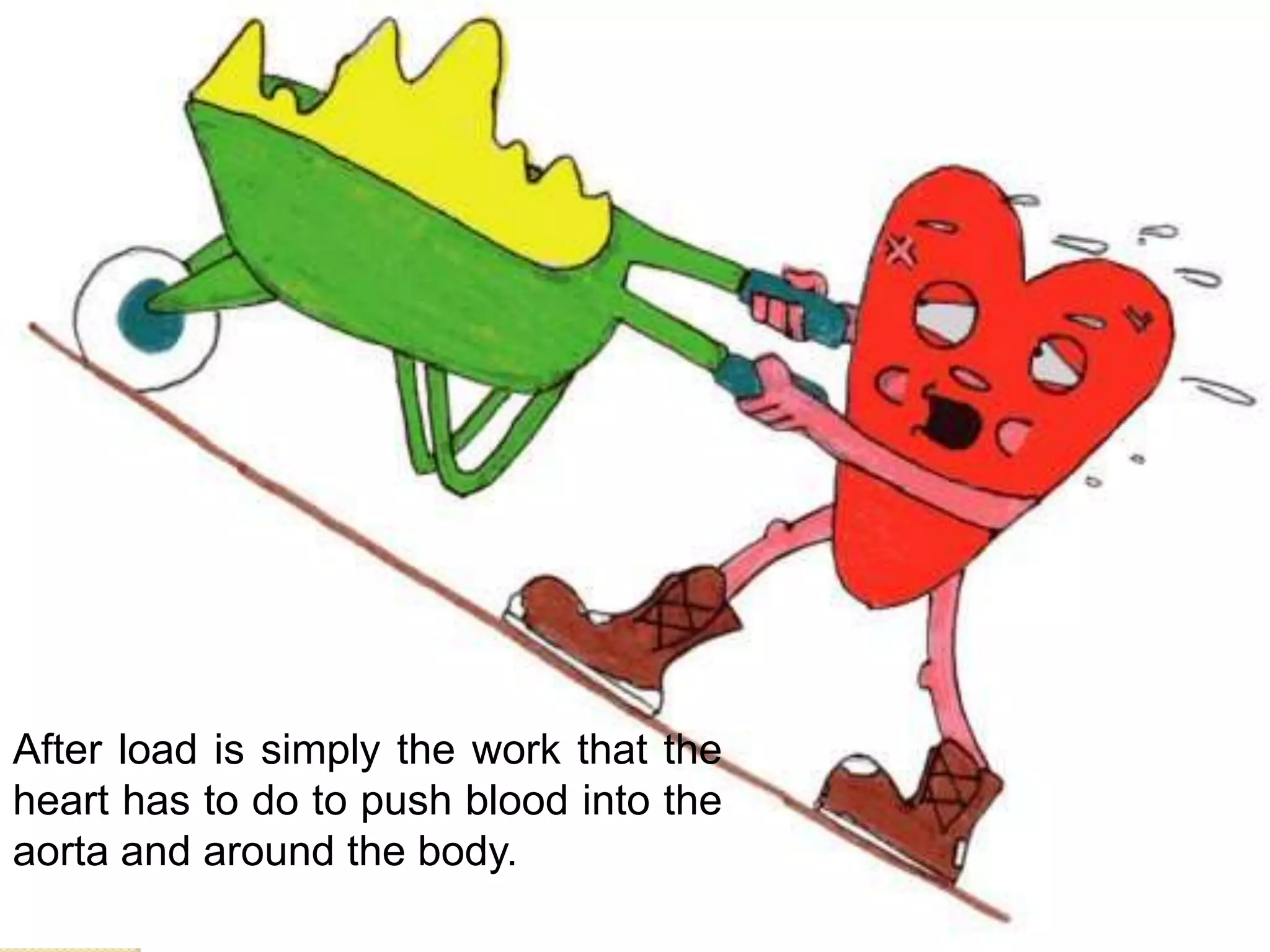 After load is simply the work that the
heart has to do to push blood into the
aorta and around the body.
 