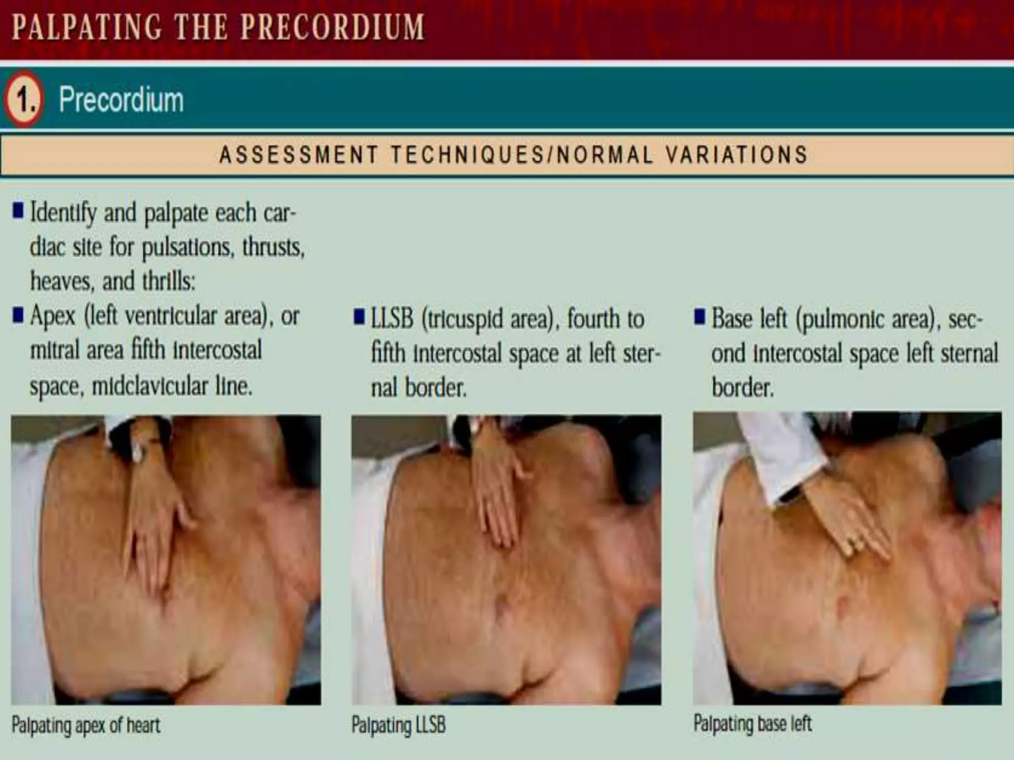 Heart assessment