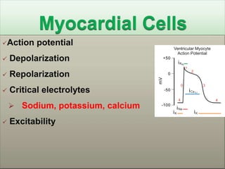 Action    potential
   Depolarization
   Repolarization
   Critical electrolytes
     Sodium, potassium, calcium
   Excitability
 