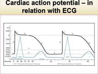 R



        T

    S
 