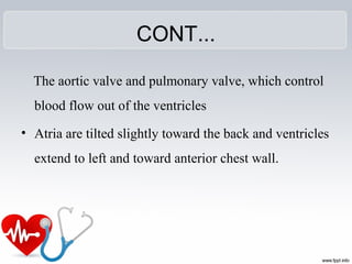 CONT...
The aortic valve and pulmonary valve, which control
blood flow out of the ventricles
• Atria are tilted slightly toward the back and ventricles
extend to left and toward anterior chest wall.
 
