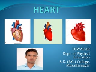 DIWAKAR
Dept. of Physical
Education
S.D. (P.G.) College,
Muzaffarnagar
 