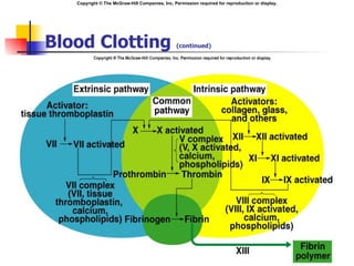 Copyright © The McGraw-Hill Companies, Inc. Permission required for reproduction or display.




Blood Clotting                                  (continued)
 