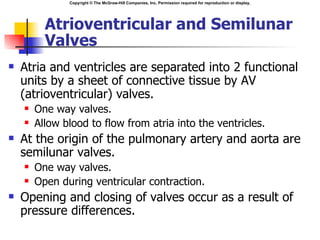 Copyright © The McGraw-Hill Companies, Inc. Permission required for reproduction or display.




          Atrioventricular and Semilunar
          Valves
   Atria and ventricles are separated into 2 functional
    units by a sheet of connective tissue by AV
    (atrioventricular) valves.
       One way valves.
       Allow blood to flow from atria into the ventricles.
   At the origin of the pulmonary artery and aorta are
    semilunar valves.
       One way valves.
       Open during ventricular contraction.
   Opening and closing of valves occur as a result of
    pressure differences.
 