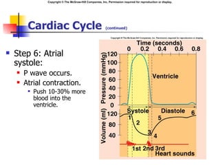 Copyright © The McGraw-Hill Companies, Inc. Permission required for reproduction or display.




         Cardiac Cycle                                     (continued)




   Step 6: Atrial
    systole:
       P wave occurs.
       Atrial contraction.
            Push 10-30% more
             blood into the
             ventricle.
 