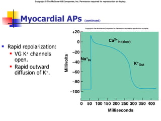 Copyright © The McGraw-Hill Companies, Inc. Permission required for reproduction or display.




         Myocardial APs                                          (continued)




   Rapid repolarization:
      VG K+ channels

       open.
      Rapid outward

       diffusion of K+.
 