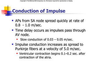 Copyright © The McGraw-Hill Companies, Inc. Permission required for reproduction or display.




Conduction of Impulse
   APs from SA node spread quickly at rate of
    0.8 - 1.0 m/sec.
   Time delay occurs as impulses pass through
    AV node.
       Slow conduction of 0.03 – 0.05 m/sec.
   Impulse conduction increases as spread to
    Purkinje fibers at a velocity of 5.0 m/sec.
       Ventricular contraction begins 0.1–0.2 sec. after
        contraction of the atria.
 