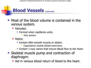 Copyright © The McGraw-Hill Companies, Inc. Permission required for reproduction or display.




     Blood Vessels                                        (continued)




   Most of the blood volume is contained in the
    venous system.
       Venules:
            Formed when capillaries unite.
                  Very porous.
       Veins:
            Contain little smooth muscle or elastin.
                  Capacitance vessels (blood reservoirs).
            Contain 1-way valves that ensure blood flow to the heart.
   Skeletal muscle pump and contraction of
    diaphragm:
       Aid in venous blood return of blood to the heart.
 