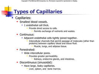Copyright © The McGraw-Hill Companies, Inc. Permission required for reproduction or display.




    Types of Capillaries
   Capillaries:
        Smallest blood vessels.
             1 endothelial cell thick.
                     Provide direct access to cells.
                          Permits exchange of nutrients and wastes.
        Continuous:
             Adjacent endothelial cells tightly joined together.
                     Intercellular channels that permit passage of molecules (other than
                      proteins) between capillary blood and tissue fluid.
                          Muscle, lungs, and adipose tissue.
        Fenestrated:
             Wide intercellular pores.
                     Provides greater permeability.
                          Kidneys, endocrine glands, and intestines.
        Discontinuous (sinusoidal):
             Have large, leaky capillaries.
                     Liver, spleen, and bone marrow.
 