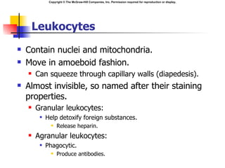 Copyright © The McGraw-Hill Companies, Inc. Permission required for reproduction or display.




     Leukocytes
   Contain nuclei and mitochondria.
   Move in amoeboid fashion.
       Can squeeze through capillary walls (diapedesis).
   Almost invisible, so named after their staining
    properties.
       Granular leukocytes:
            Help detoxify foreign substances.
                  Release heparin.
       Agranular leukocytes:
            Phagocytic.
                  Produce antibodies.
 