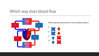 Which way does blood flow
Body’s
cells
Lungs
1.
2.
3.
4.
Which way does blood flow in the circulatory system?
1.
2.
3.
4.
 