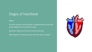 Stages of heartbeat
Stage 2:
The atria contracts and the blood is squeezed which causes the
valves leading to the ventricles to open.
Blood then flows from the atria into the ventricles.
What happens to the open valves when the atria is empty?
 