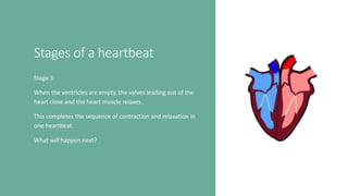 Stages of a heartbeat
Stage 3:
When the ventricles are empty, the valves leading out of the
heart close and the heart muscle relaxes.
This completes the sequence of contraction and relaxation in
one heartbeat.
What will happen next?
 