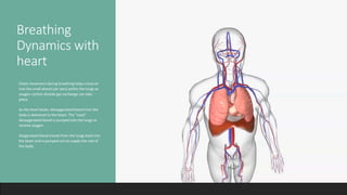 Breathing
Dynamics with
heart
• Chest movement during breathing helps move air
into the small alveoli (air sacs) within the lungs so
oxygen-carbon dioxide gas exchange can take
place.
• As the heart beats, deoxygenated blood from the
body is delivered to the heart. The "used"
deoxygenated blood is pumped into the lungs to
receive oxygen.
• Oxygenated blood travels from the lungs back into
the heart and is pumped out to supply the rest of
the body.
 