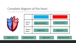 Complete diagram of the heart
Side of
heart
Type of
blood
? ?
??
Oxygen rich Left side of heart Oxygen poor Right side of heart
Oxygen rich
Left side of heart
Oxygen poor
Right side of heart
 