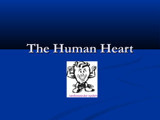 The Human Heart
 