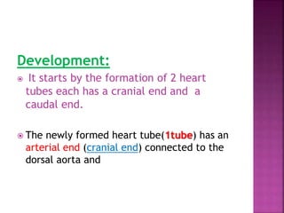 heart dev.pptx