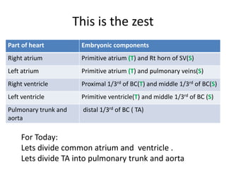 Right ventricle (T)
left ventricle (T)
Left/right atrium (T)
Right atrium (S)
Rt/Lt ventricle (S)
Coronary sinus
Oblique V of left atrium
B-V sulcus
primary interventricular
foramen
Fate of heart tube • Ascending aorta
• Pulmonary trunk
???
???
???
 