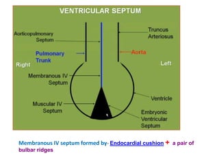 Blalock-Thomas-Taussig Shunt
 
