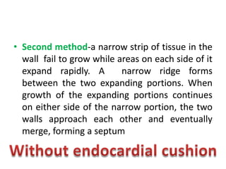 Septation of common atrium
• Septation of common atrium is completed by
2 septa-
1. Septum primum
2. Septum secundum
• Normal path of blood flow in developing
heart should be kept in mind .
Rt atrium to Lt atrium due to pressure gradient.
 