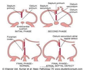 Dr Ndayisaba Corneille
 