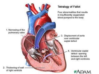 Dr Ndayisaba Corneille
 