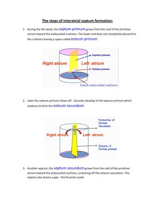 The steps of interatrial septum formation:

1. During the 4th week, the septum primum grows from the roof of the primitive
   atrium toward the endocardial cushions. The lower end does not completely descend to
   the cushions leaving a space called osteum primum




2. Later the osteum primum closes off. Vacuoles develop In the septum primum which
   coalesce to form the osteum secundum.




3. Another septum, the septum secundum grows from the roof of the primitive
   atrium toward the endocardial cushions, curtaining off the osteum secundum. This
   septum also leaves a gap – the foramen ovale.
 