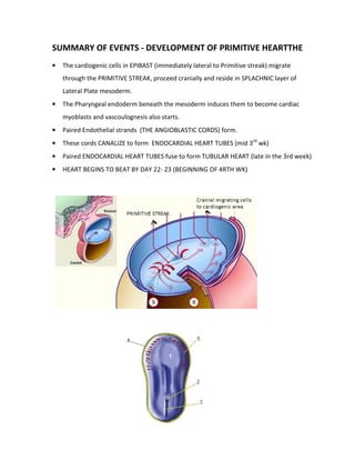 SUMMARY OF EVENTS - DEVELOPMENT OF PRIMITIVE HEARTTHE
•   The cardiogenic cells in EPIBAST (immediately lateral to Primitive streak) migrate
    through the PRIMITIVE STREAK, proceed cranially and reside in SPLACHNIC layer of
    Lateral Plate mesoderm.
•   The Pharyngeal endoderm beneath the mesoderm induces them to become cardiac
    myoblasts and vascoulognesis also starts.
•   Paired Endothelial strands (THE ANGIOBLASTIC CORDS) form.
•   These cords CANALIZE to form ENDOCARDIAL HEART TUBES (mid 3rd wk)
•   Paired ENDOCARDIAL HEART TUBES fuse to form TUBULAR HEART (late in the 3rd week)
•   HEART BEGINS TO BEAT BY DAY 22- 23 (BEGINNING OF 4RTH WK)
 