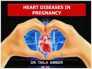 HEART DISEASES IN
PREGNANCY
DR. TAILA AMBER
 