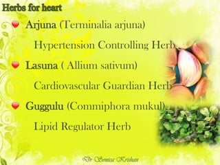 Arjuna (Terminalia arjuna)
Hypertension Controlling Herb
Lasuna ( Allium sativum)
Cardiovascular Guardian Herb
Guggulu (Commiphora mukul)
Lipid Regulator Herb
Dr Sonica Krishan
 