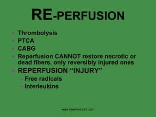RE -PERFUSION Thrombolysis PTCA CABG Reperfusion CANNOT restore necrotic or dead fibers, only reversibly injured ones REPERFUSION “INJURY” Free radicals Interleukins www.freelivedoctor.com 