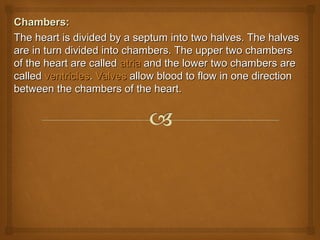 Chambers:Chambers:
The heart is divided by a septum into two halves. The halvesThe heart is divided by a septum into two halves. The halves
are in turn divided into chambers. The upper two chambersare in turn divided into chambers. The upper two chambers
of the heart are calledof the heart are called atriaatria and the lower two chambers areand the lower two chambers are
calledcalled ventriclesventricles.. ValvesValves allow blood to flow in one directionallow blood to flow in one direction
between the chambers of the heart.between the chambers of the heart.
 