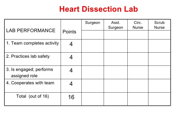 heart dissection lab heart dissection lab